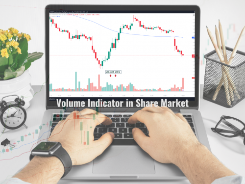 What is the Volume Indicator